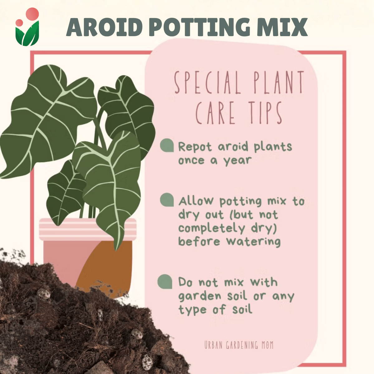 aglaonema potting soil AROIDS SOIL -LESS POTTING MIX- Best for Monstera, Philodendron, Aglaon – Urban Gardening Mom
