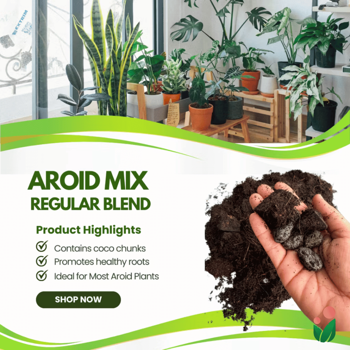 AROIDS SOIL -LESS POTTING MIX- Best for Monstera, Philodendron, Aglaonema, Alocasia, Pothos and Most Types of House Plants that tend to grow extensive aerial roots