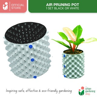 AIR PRUNING POT (1 set)- A revolutionary Idea in Container Gardening