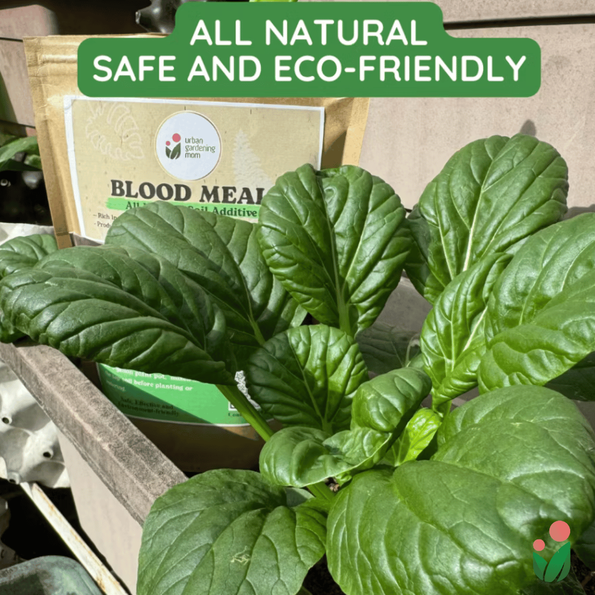Blood Meal - An All Natural Soil Additive Derived from Livestock Blood which contains a rich source of natural macro and micronutrients beneficial for most garden plants