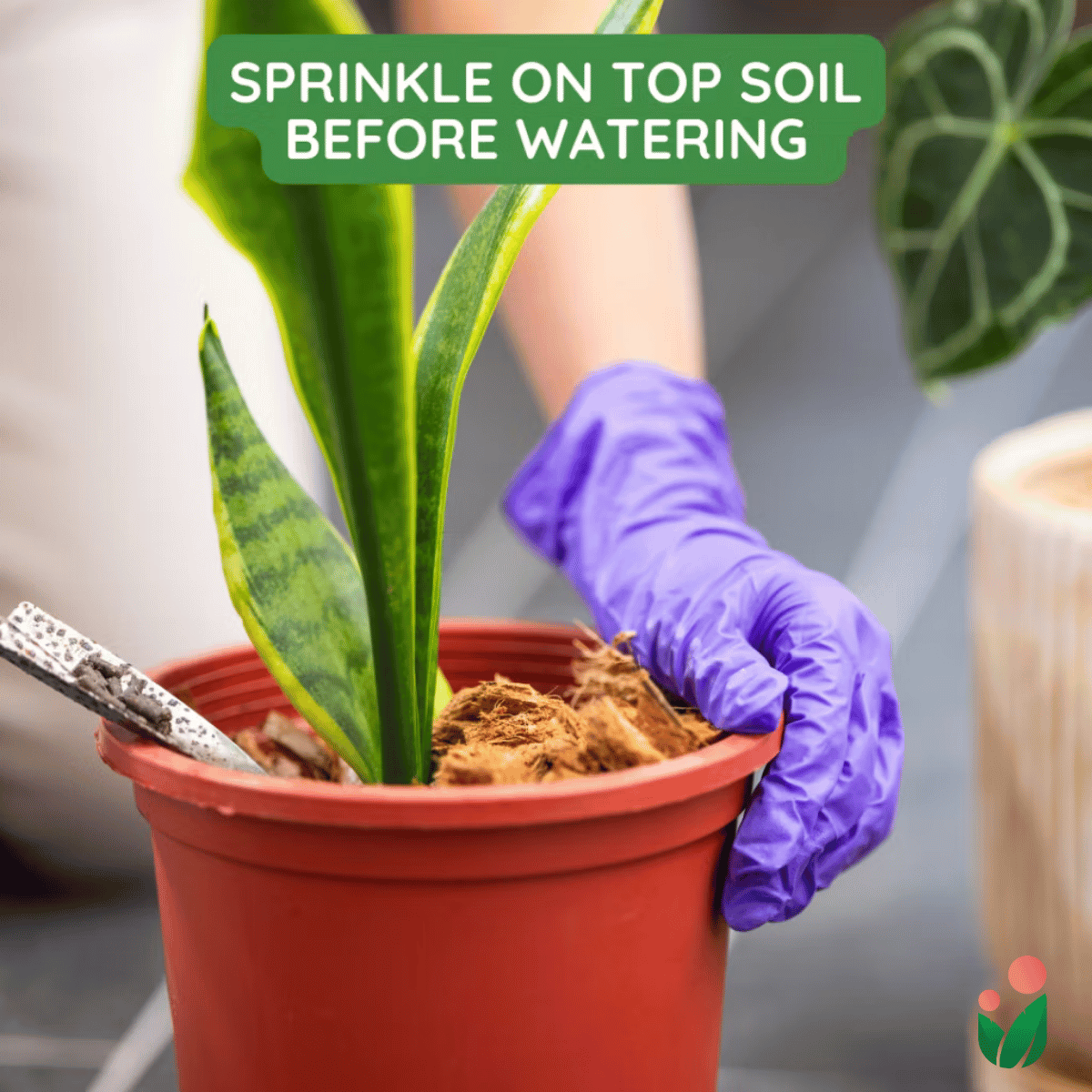 Blood Meal - An All Natural Soil Additive Derived from Livestock Blood which contains a rich source of natural macro and micronutrients beneficial for most garden plants