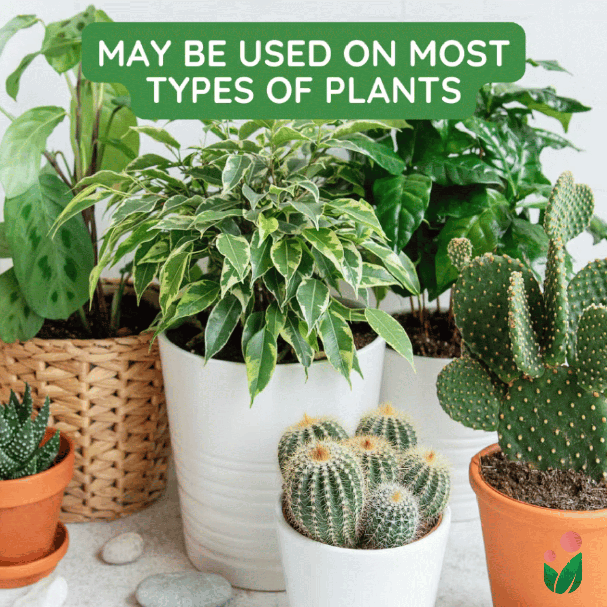 Blood Meal - An All Natural Soil Additive Derived from Livestock Blood which contains a rich source of natural macro and micronutrients beneficial for most garden plants