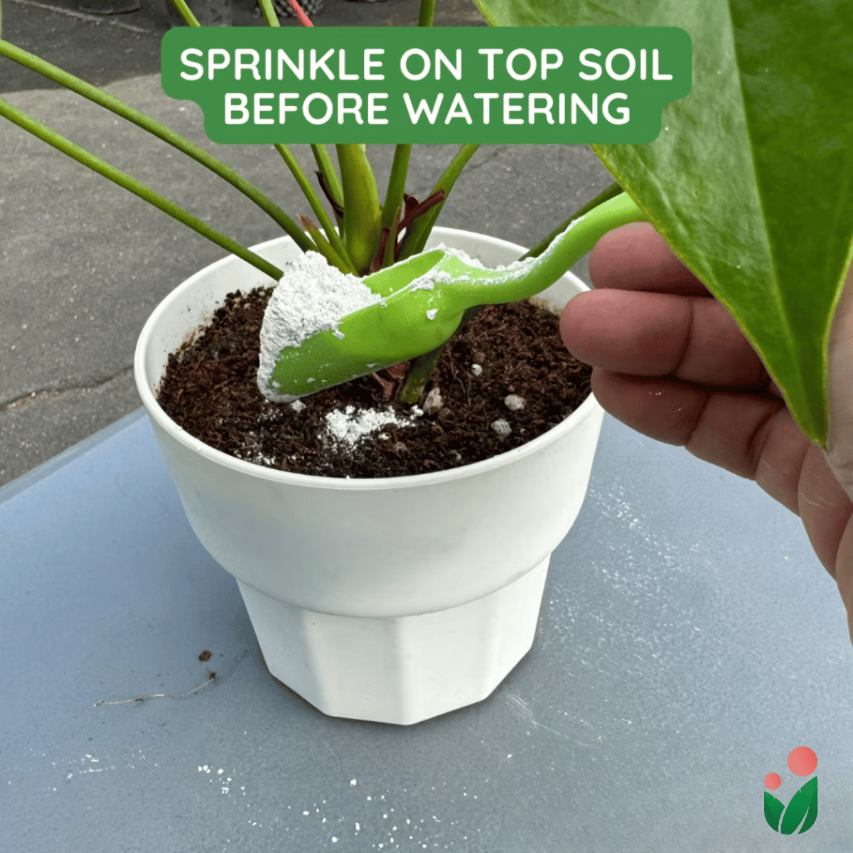 Bone Ash  - All Natural Garden Soil Additive Derived from Calcined Livestock Bones Containing a Rich Source of Calcium and Phosphorus