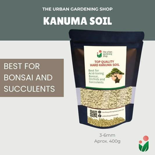 KANUMA SOIL - Top Quality Bonsai Soil for Potted Plants Bonsai and Succulents