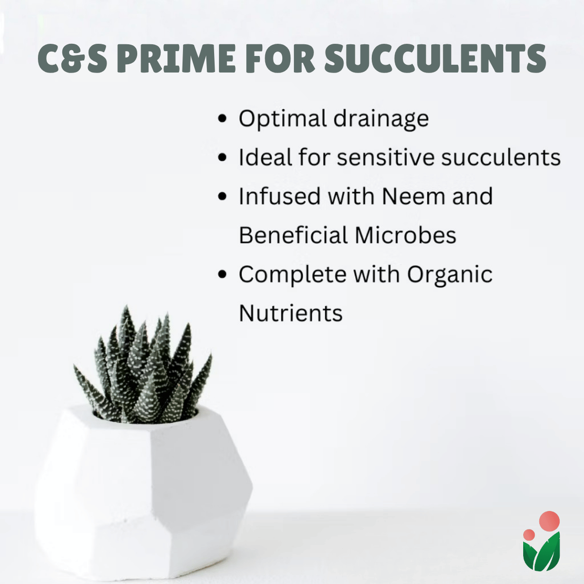 C&S Prime