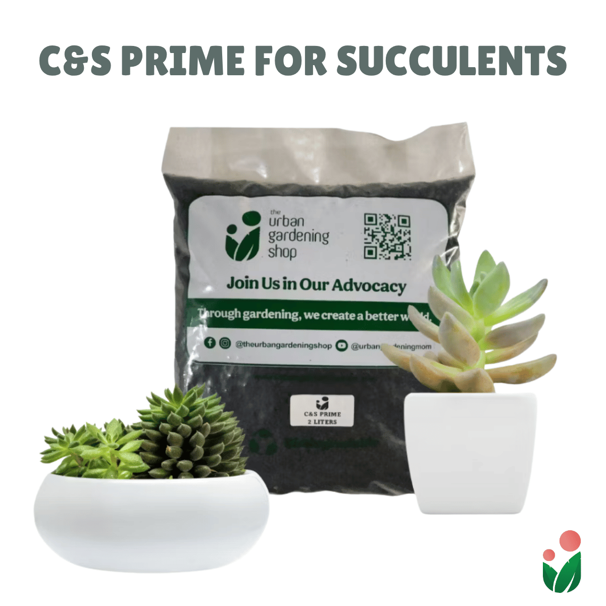 C&S Prime
