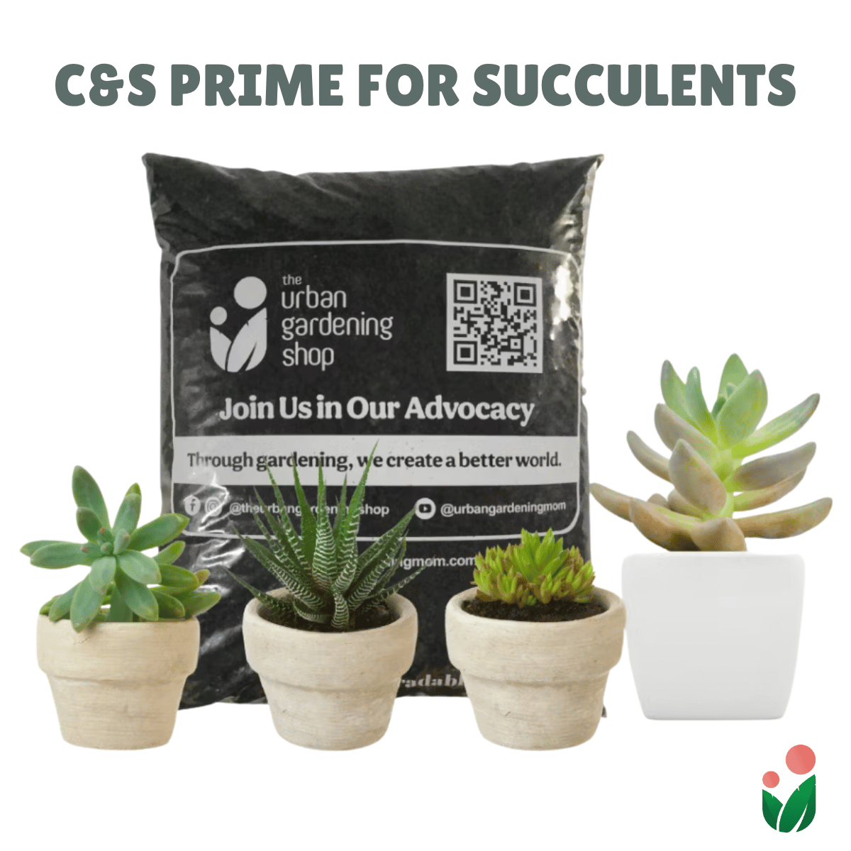C&S Prime