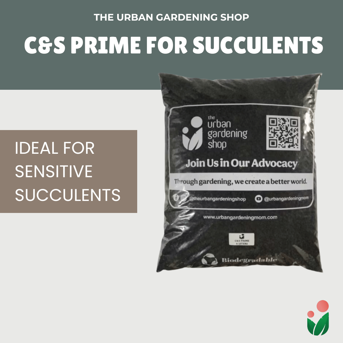 C&S Prime
