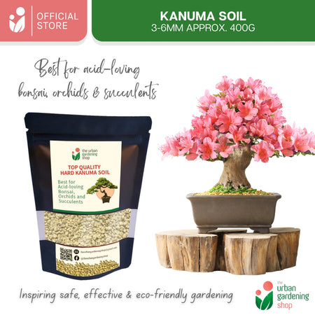 KANUMA SOIL - Top Quality Bonsai Soil for Potted Plants Bonsai and Succulents