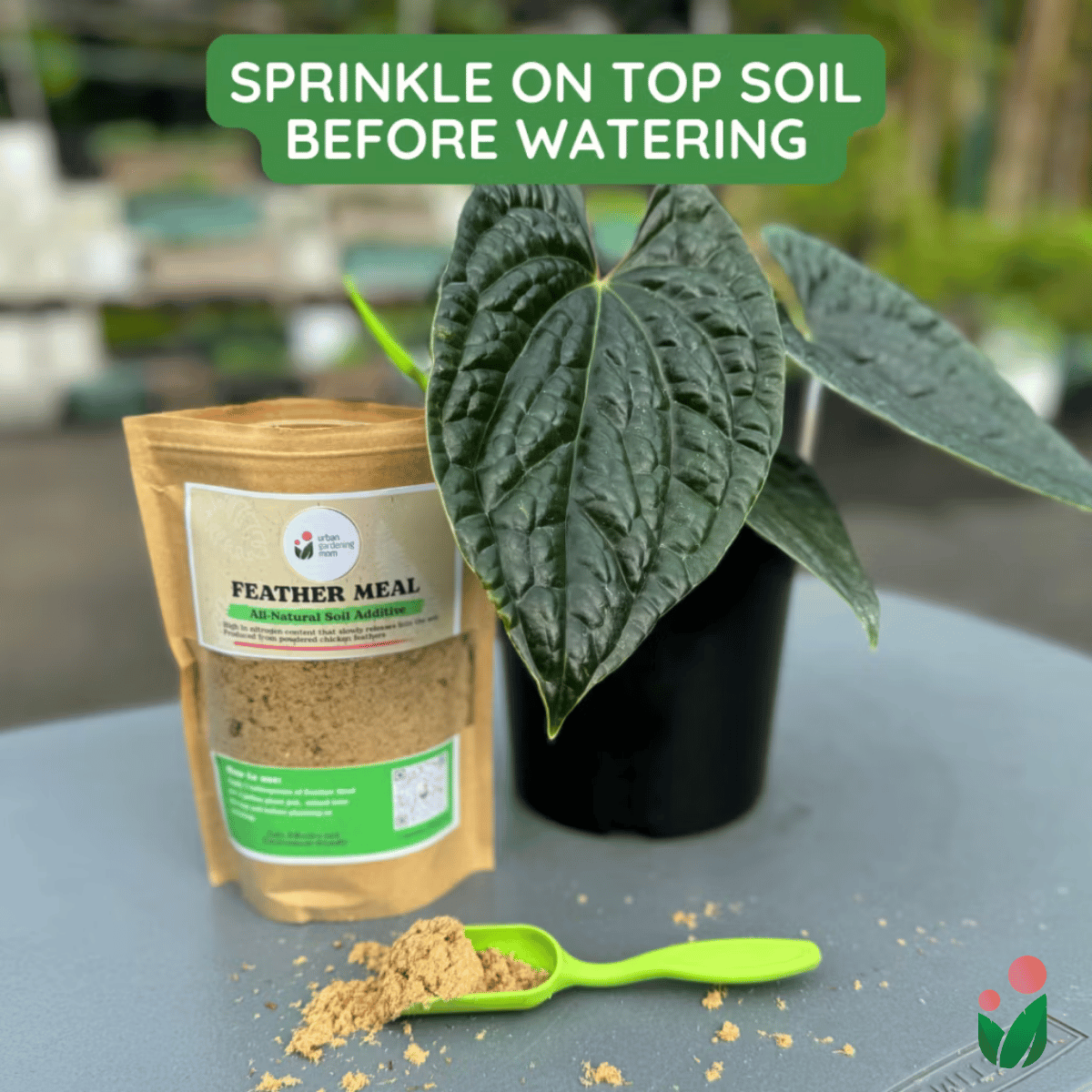 Feather Meal - All-Natural Soil Additive Derived from Poultry Feathers