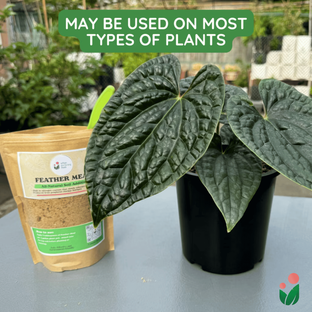 Feather Meal - All-Natural Soil Additive Derived from Poultry Feathers