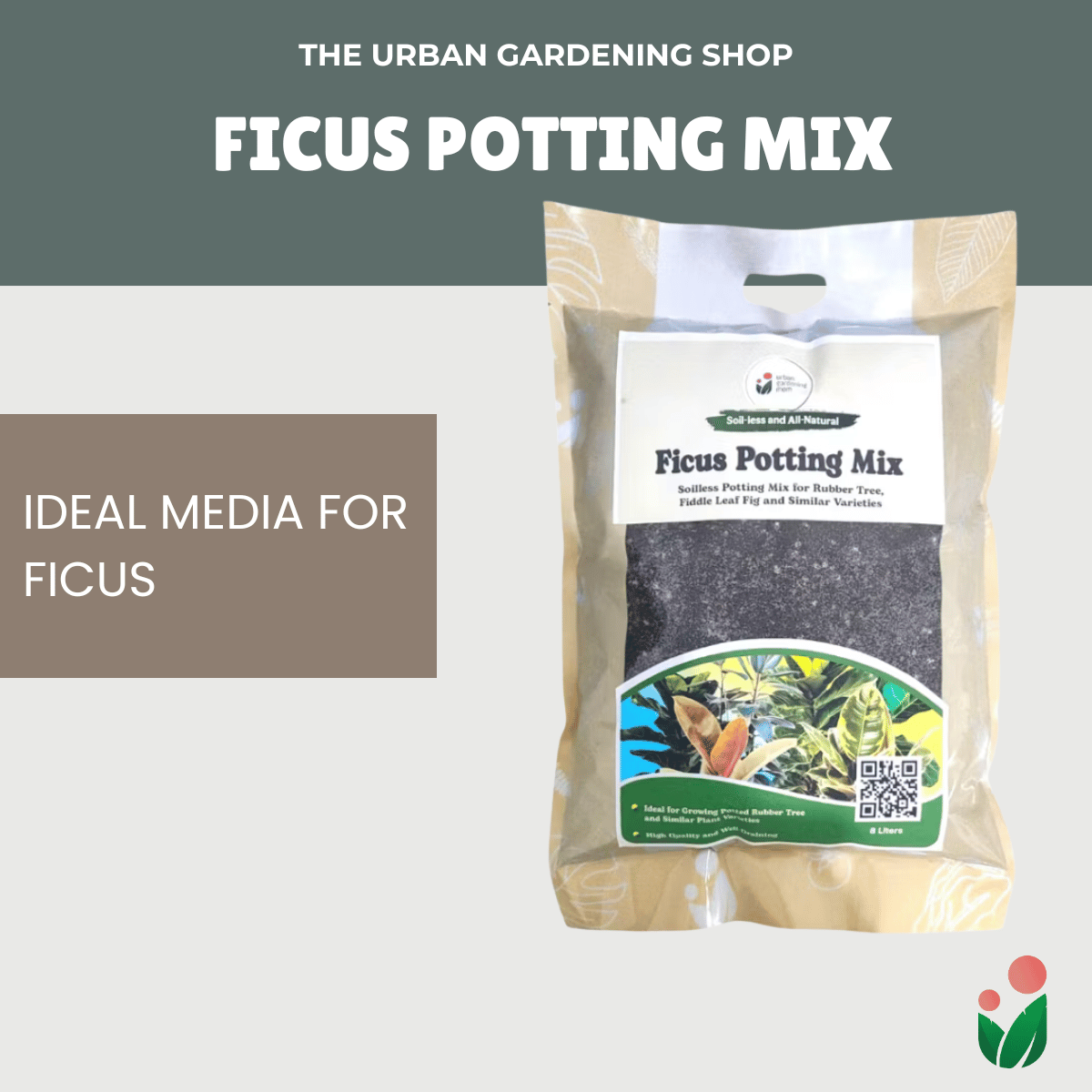 8-Liter Ficus Mix  - Soilless Potting Mix for Ficus (Rubber Plants)