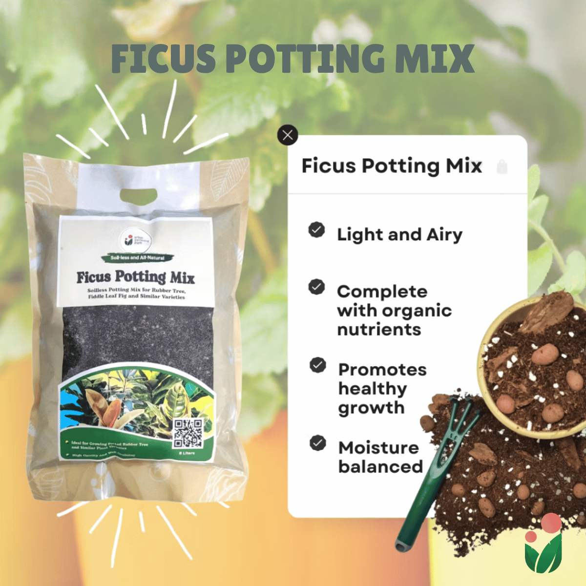 best potting mix for rubber plant 8-Liter Ficus Mix