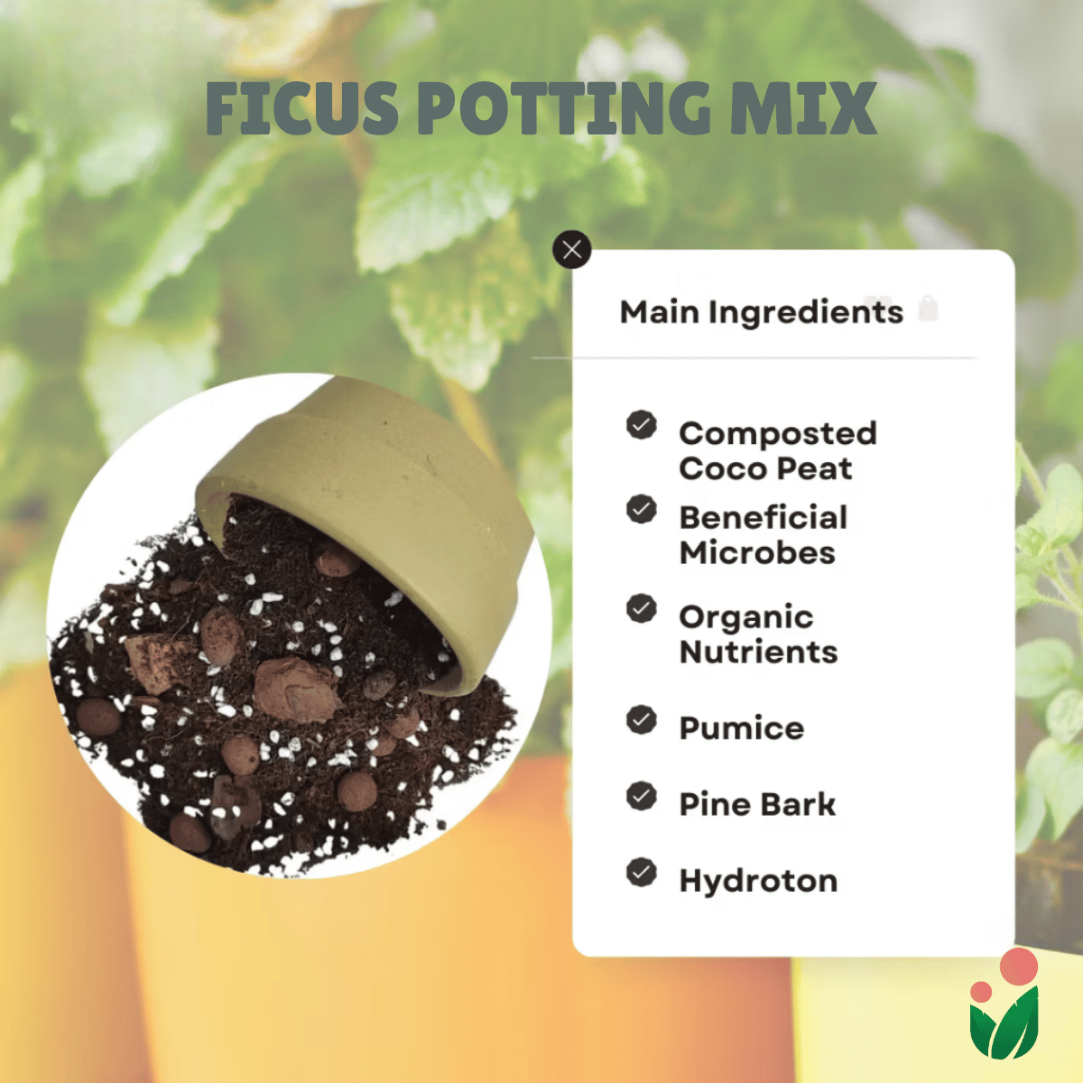 best potting mix for rubber plant 8-Liter Ficus Mix