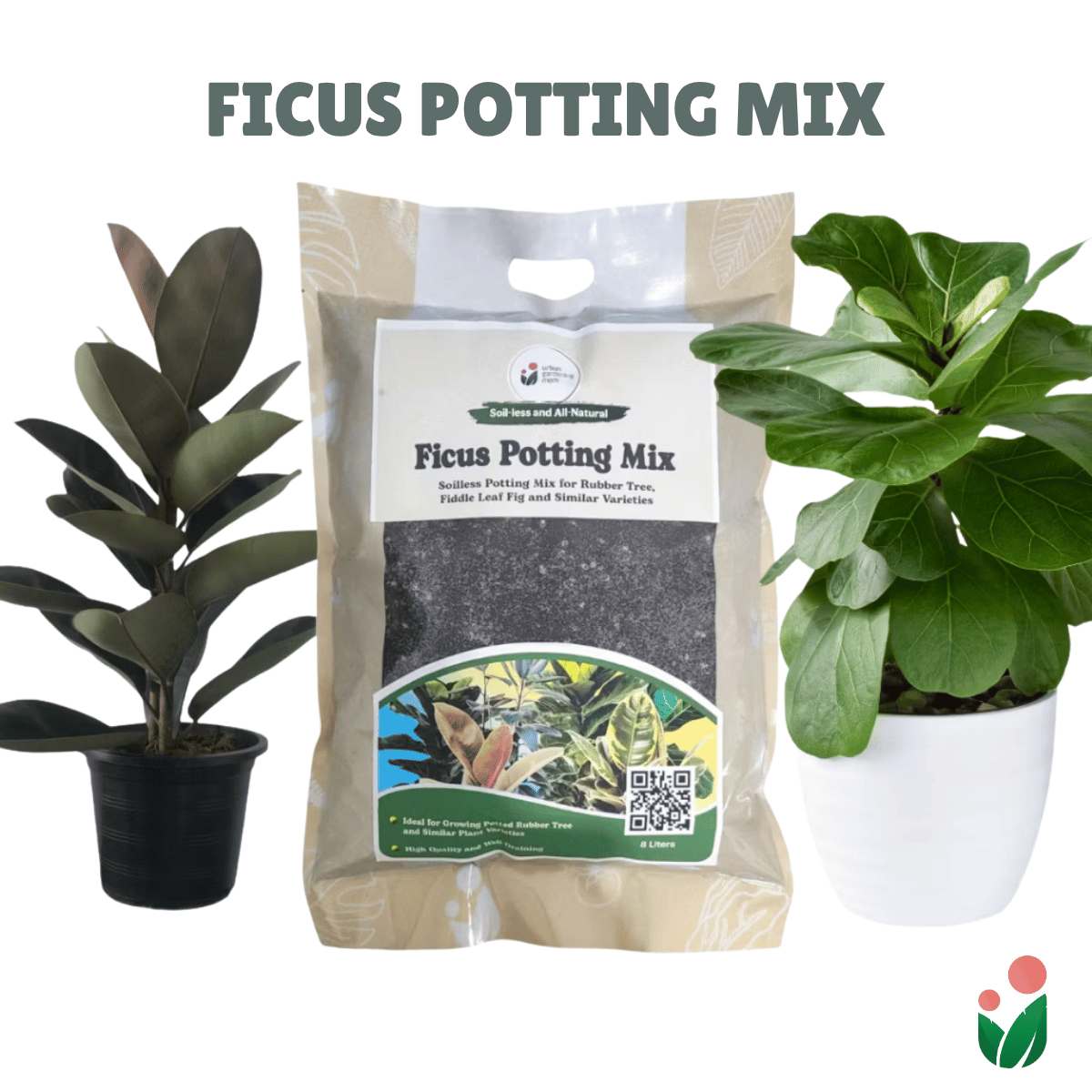 ficus potting mix 8-Liter Ficus Mix