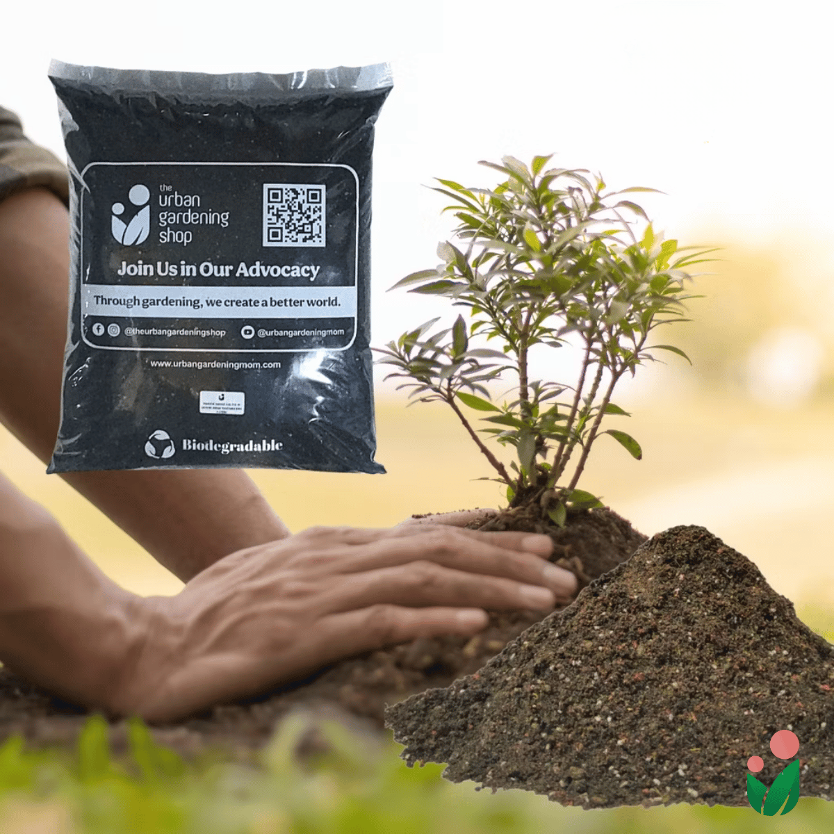 Garden Top Soil for In-ground Gardening