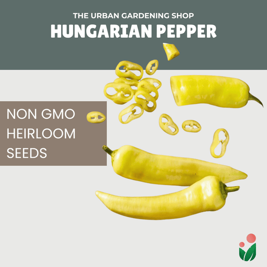 Premium Non-GMO Seeds - Hungarian Yellow Hot Wax Pepper