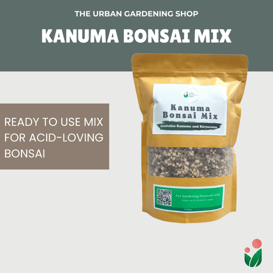 1-liter Kanuma Bonsai Mix - Pre-mixed and Ready to Use