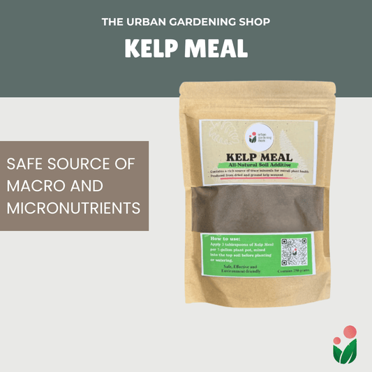 Kelp Meal - All-Natural Garden Soil Additive Derived from Kelp Seaweeds