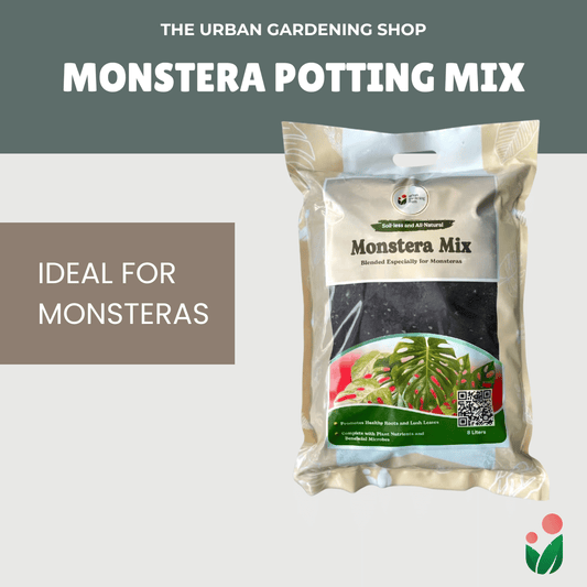 8-liter PREMIUM MONSTERA POTTING MIX  Best Soil-less Mix for Monsteras and Similar Aroids
