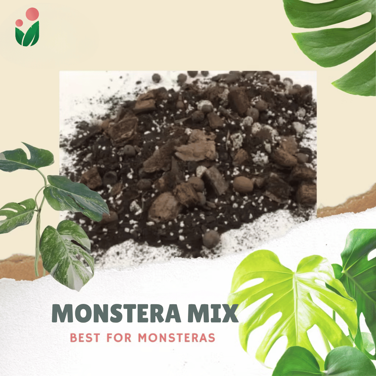 8-liter PREMIUM MONSTERA POTTING MIX  Best Soil-less Mix for Monsteras and Similar Aroids