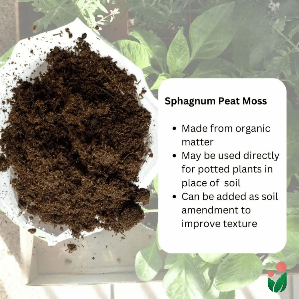 SPHAGNUM PEAT MOSS Premium Potting Soil Substitute