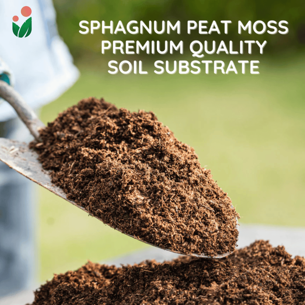 SPHAGNUM PEAT MOSS Premium Potting Soil Substitute