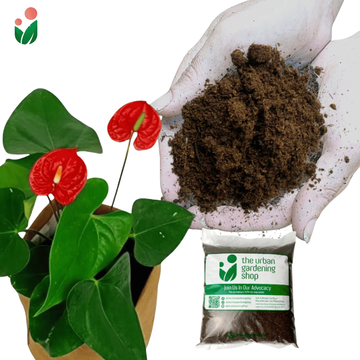 SPHAGNUM PEAT MOSS Premium Potting Soil Substitute