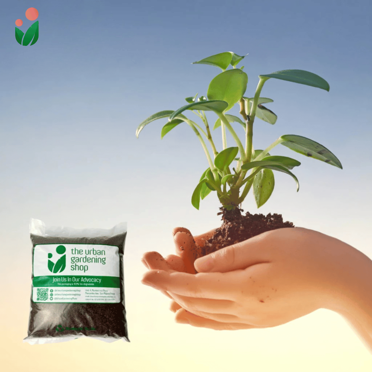 SPHAGNUM PEAT MOSS Premium Potting Soil Substitute