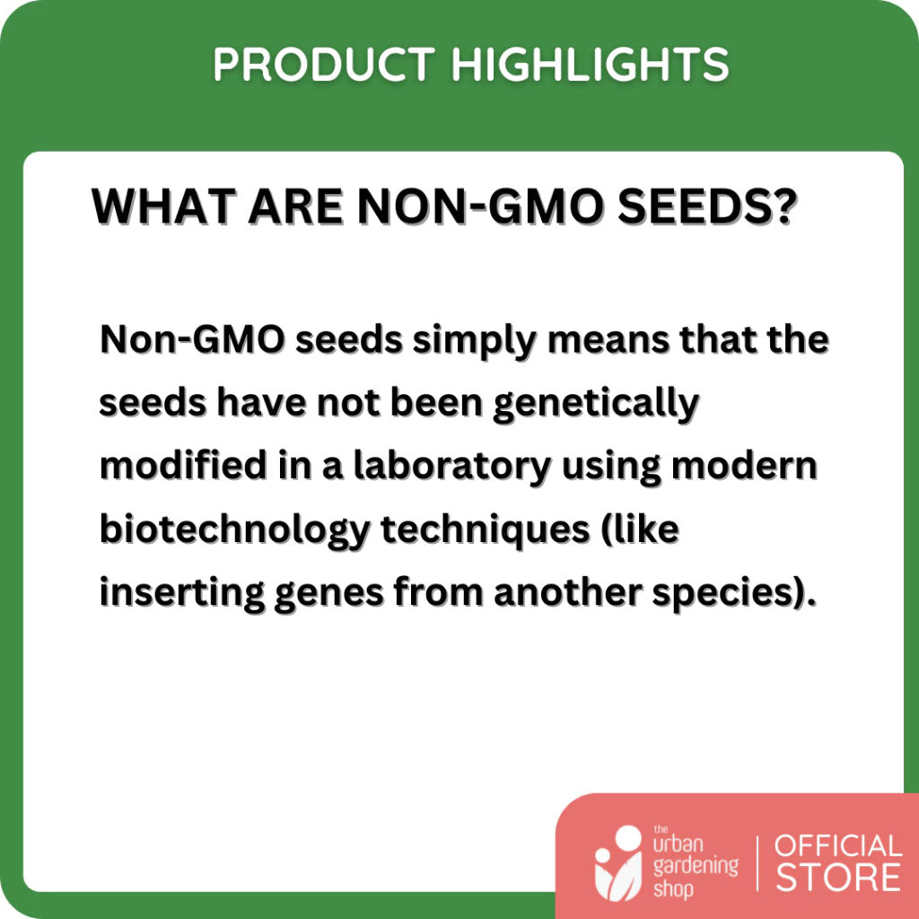 Premium Non-GMO Seeds - Beefsteak Tomatoes (Determinate)