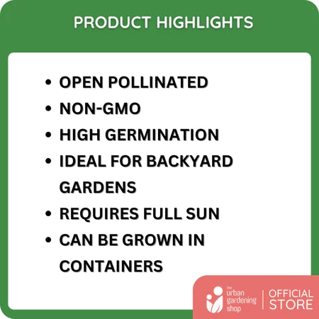 Premium Non-GMO Seeds - Lettuce Leaf Basil