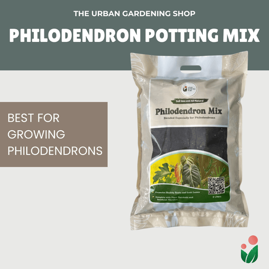 8-liter Philodendron Mix - Soilless Potting Mix For Philodendron Plants