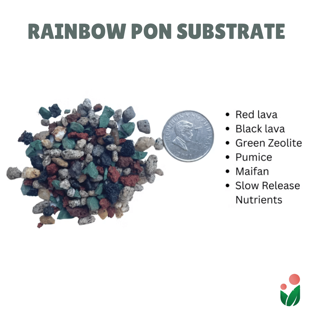 Rainbow Pon