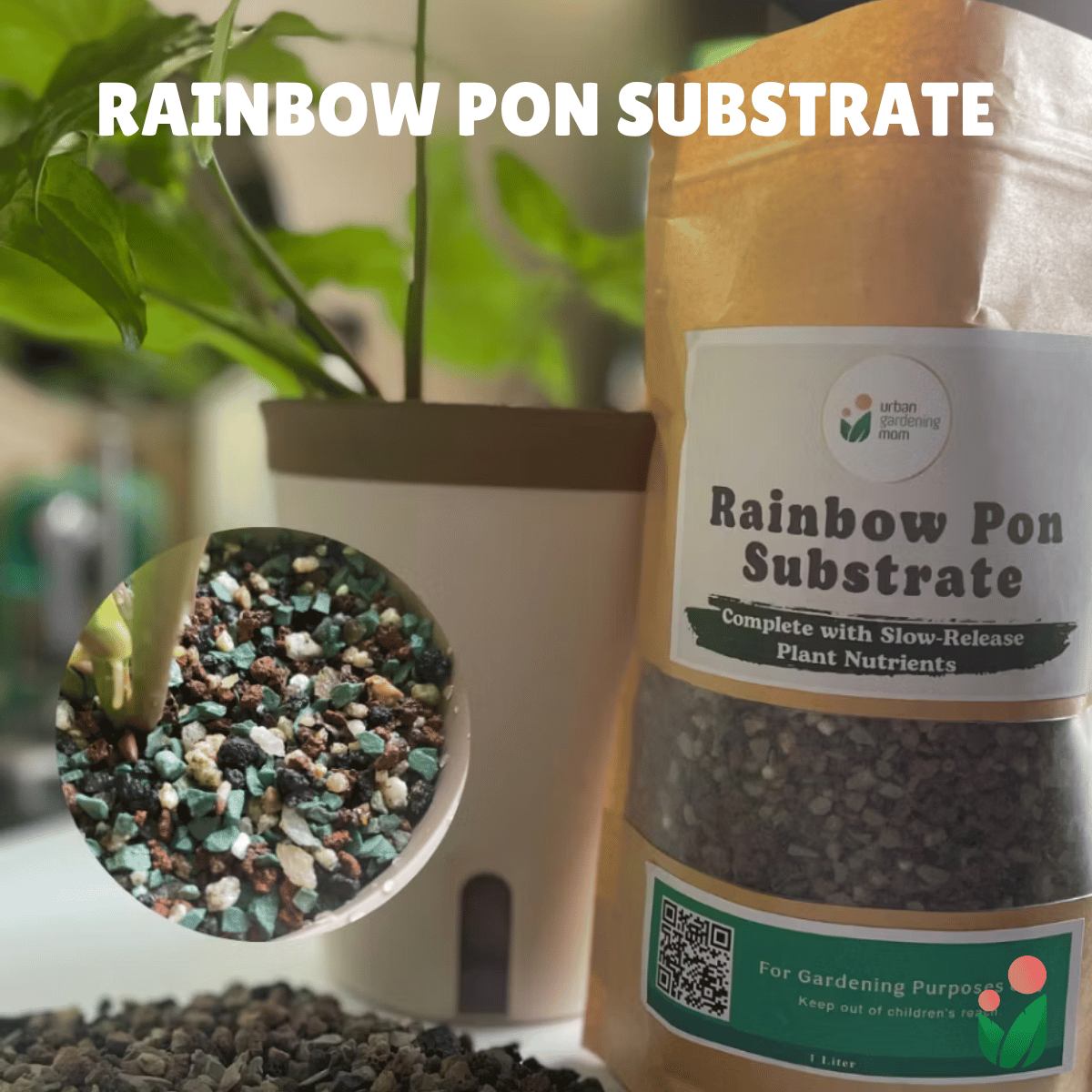 Rainbow Pon