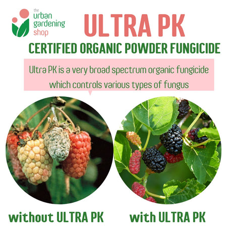 ENVIRO ULTRA PK - Organic Powder for Prevention of Fungal Infection in Plants