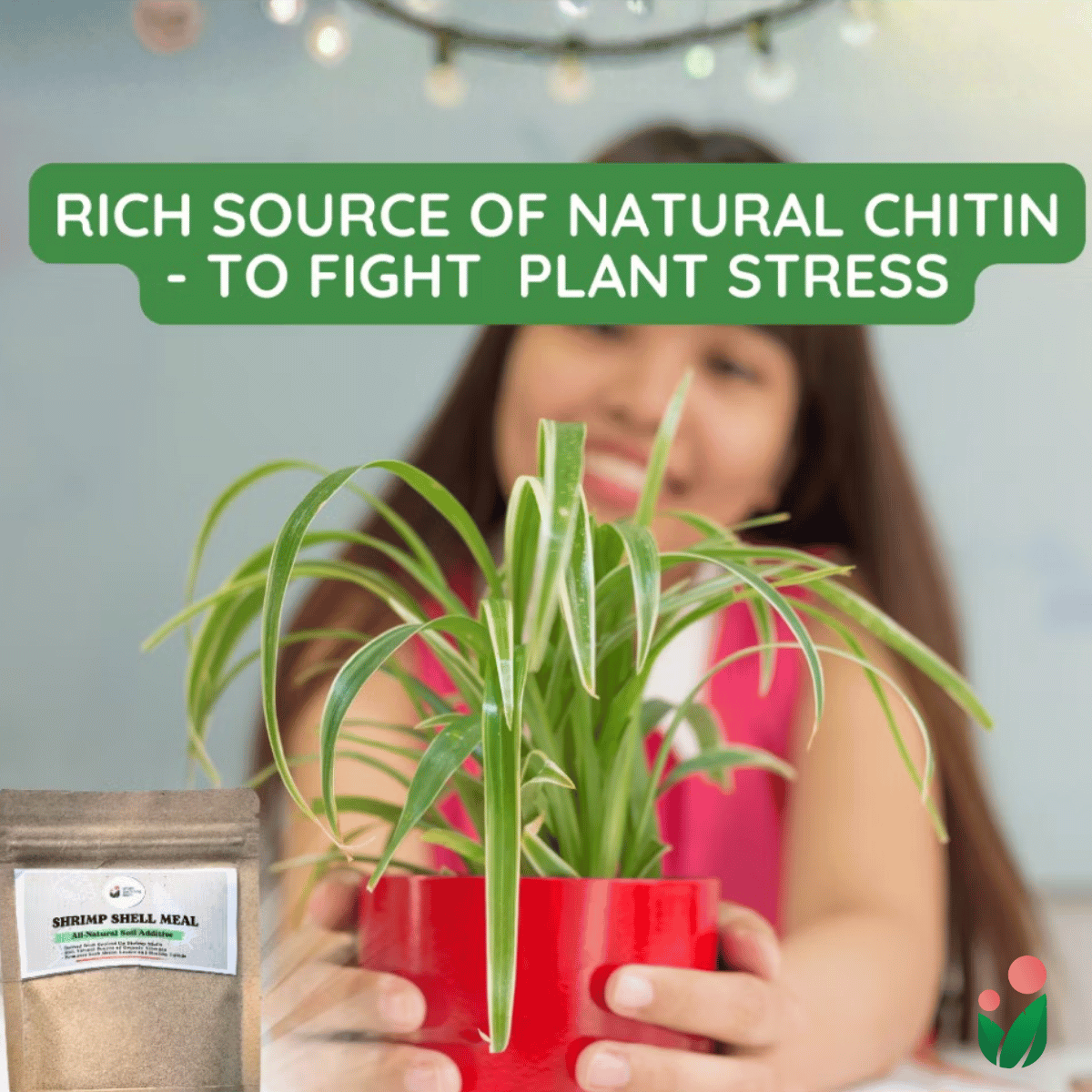 Shrimp Shell Meal - Derived from Ground Shrimp Shells (Contains Rich Organic Nutrients for Plants)
