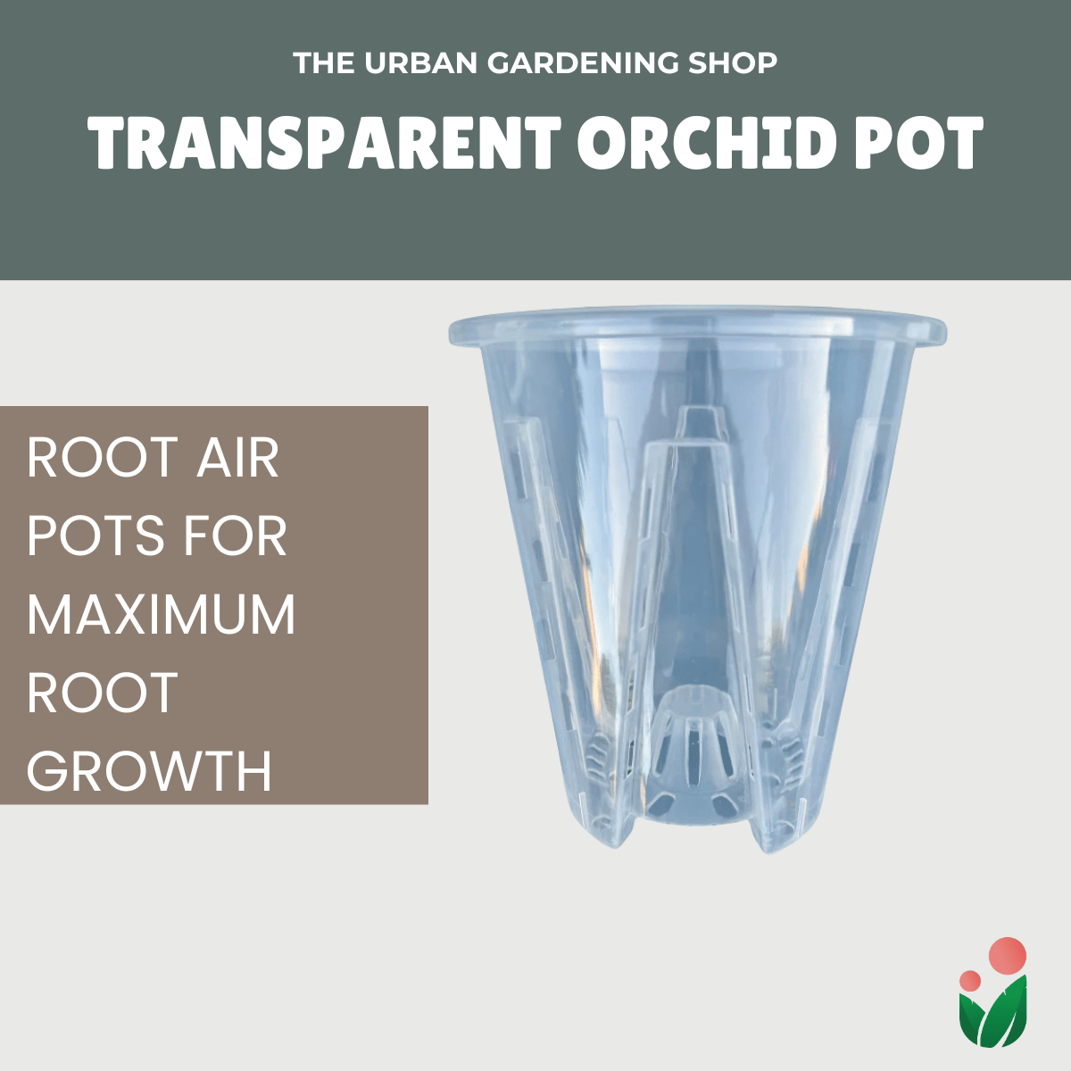 Transparent Orchid Pot - Quality Pots to Promote Root Air Circulation