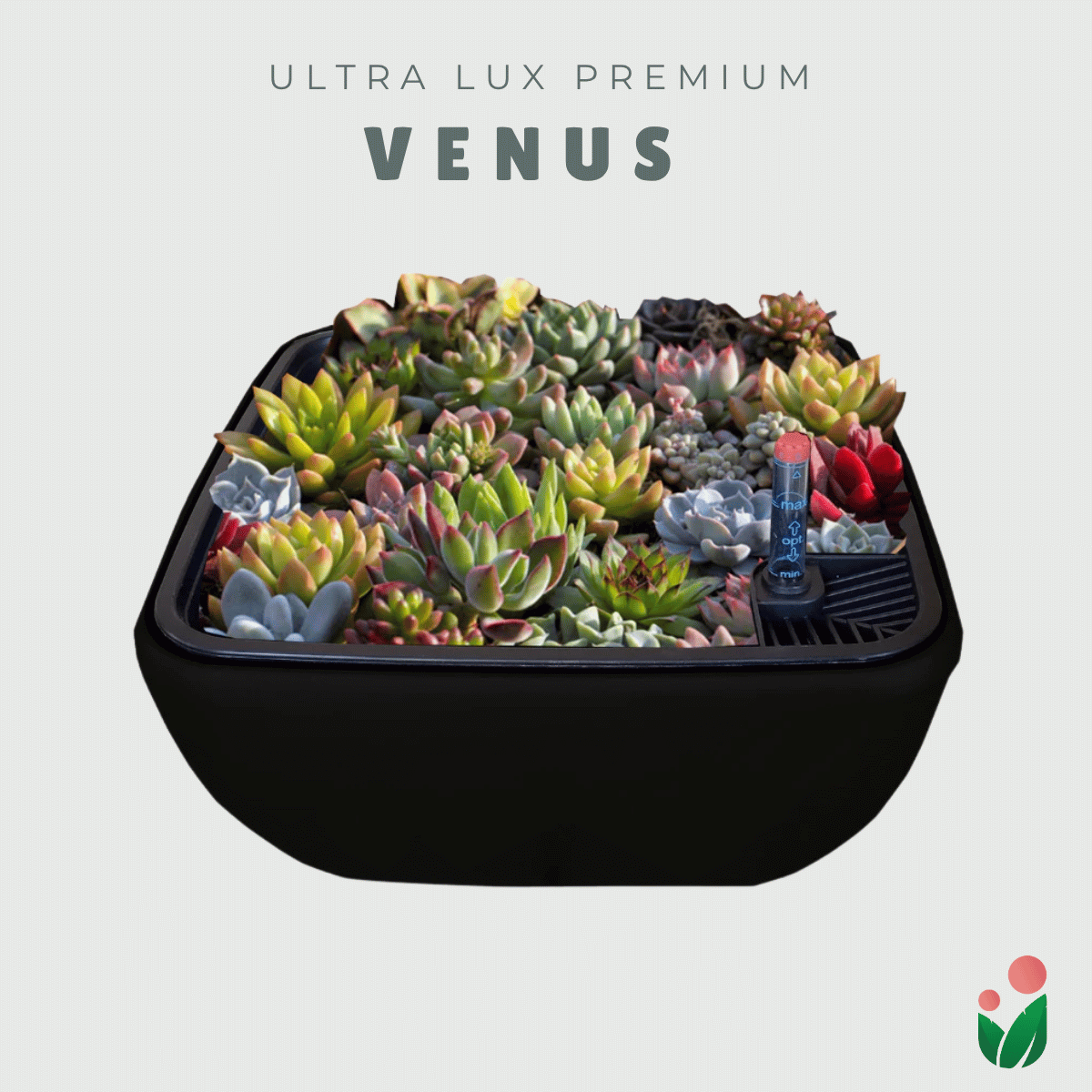 Venus – Ultra Lux Premium