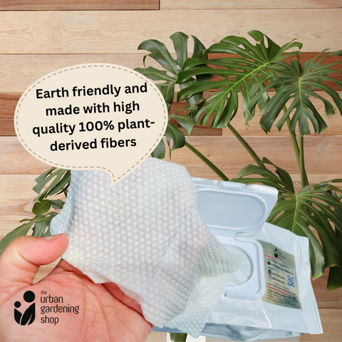 Bio-degradable Plant Wipes (40 sheets) - For Plant Cleaning and Leaf Shine