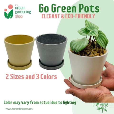 Go Green Eco-Friendly Garden Pots | Nordic Style Minimalist Classic