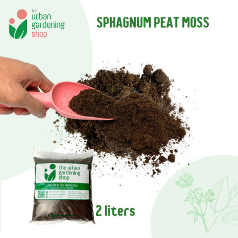 SPHAGNUM PEAT MOSS Premium Potting Soil Substitute