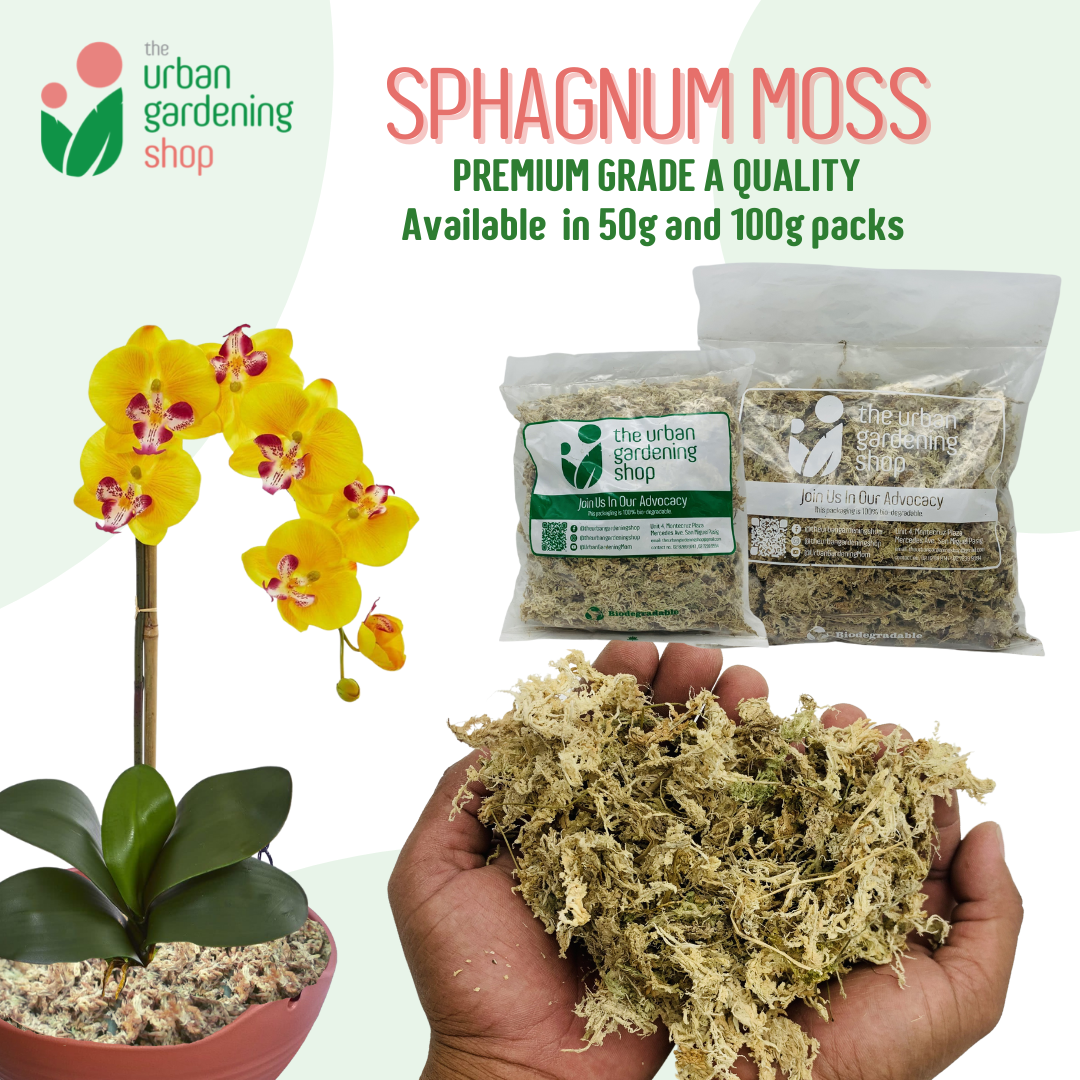 SPHAGNUM MOSS - High Quality Moss - Best for Orchids and Pet Bedding