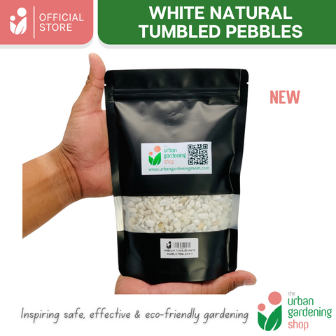 White Tumbled Natural Pebbles|  Ideal For Mulching, Decorative Topping and Landcapeing for Gardening and Aquarium  1kilo per pack