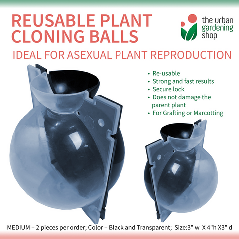 High Pressure Plant Propagation/ Cloning Balls for Grafting - Small, Medium, Large