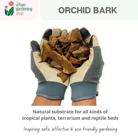 Premium Aged Orchid Bark|  For Orchids, Terrariums and Reptile Beds