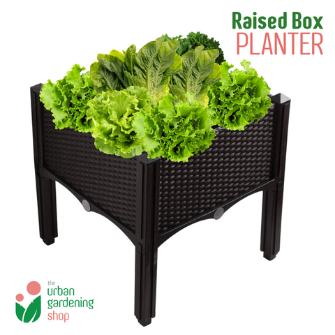 The Urban Gardening Shop Raised Box Planter With Legs - 40cm x 40cm