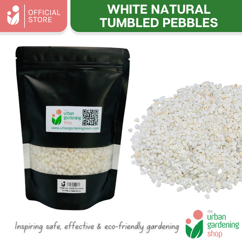 White Tumbled Natural Pebbles|  Ideal For Mulching, Decorative Topping and Landcapeing for Gardening and Aquarium  1kilo per pack