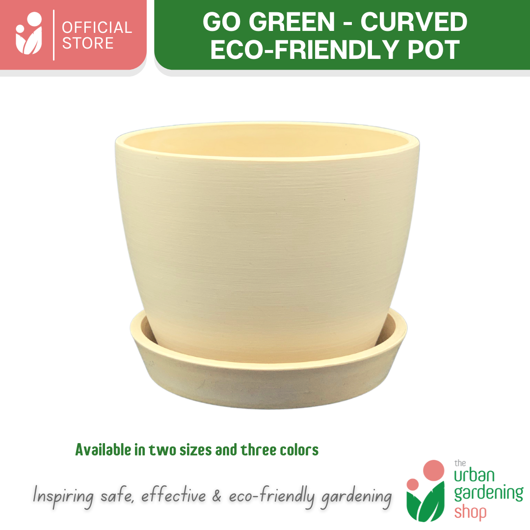 Go Green Eco-Friendly Garden Pots For Indoor Plants | CURVED DESIGN