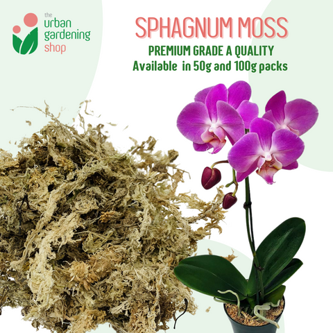 SPHAGNUM MOSS - High Quality Moss - Best for Orchids and Pet Bedding