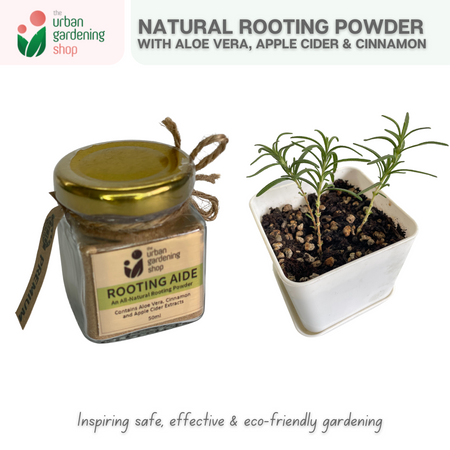 ROOTING AIDE (50ml)|  An All-natural Plant Rooting Powder